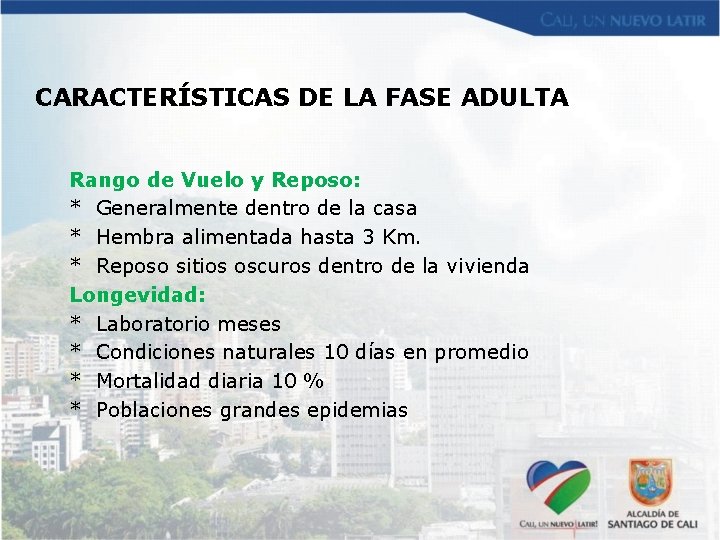 CARACTERÍSTICAS DE LA FASE ADULTA Rango de Vuelo y Reposo: * Generalmente dentro de