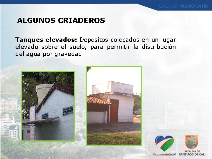 ALGUNOS CRIADEROS Tanques elevados: Depósitos colocados en un lugar elevado sobre el suelo, para