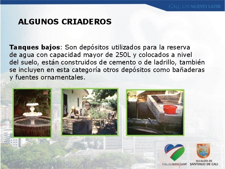 ALGUNOS CRIADEROS Tanques bajos: Son depósitos utilizados para la reserva de agua con capacidad