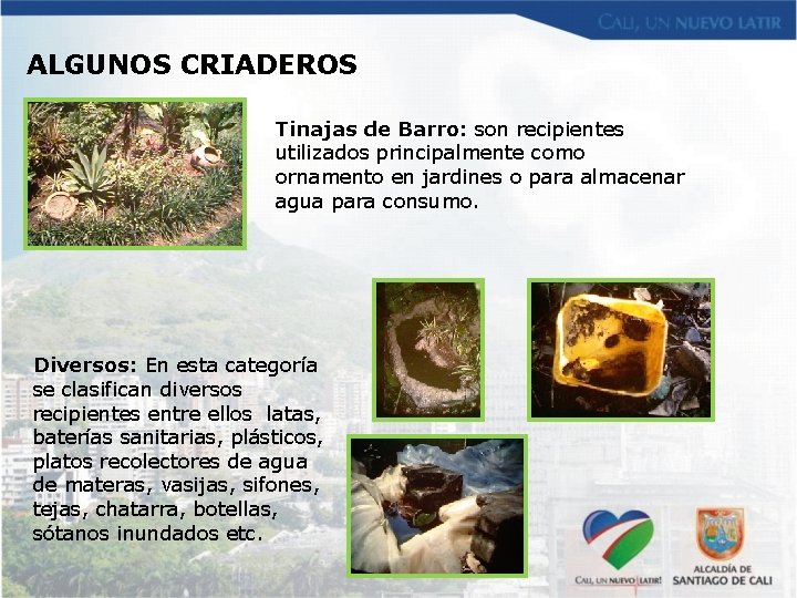 ALGUNOS CRIADEROS Tinajas de Barro: son recipientes utilizados principalmente como ornamento en jardines o
