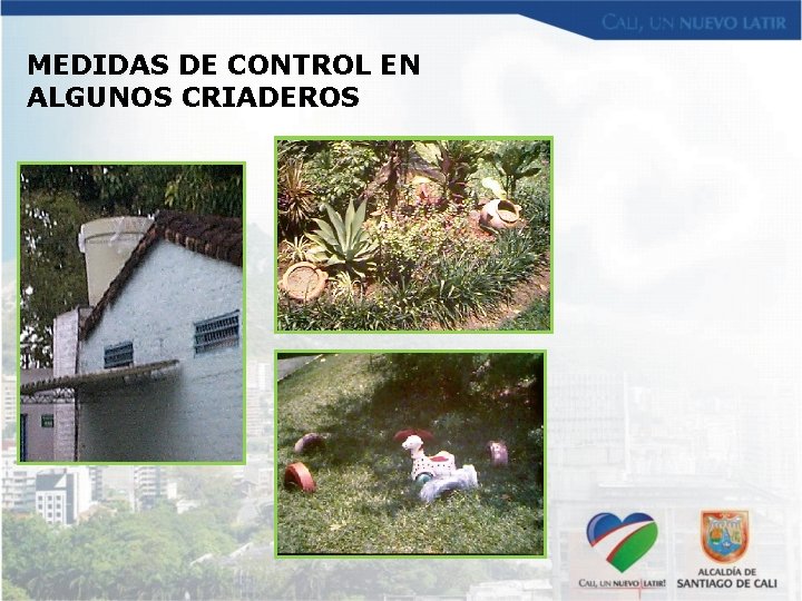 MEDIDAS DE CONTROL EN ALGUNOS CRIADEROS 