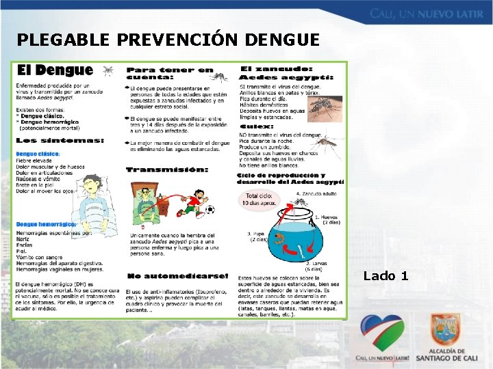 PLEGABLE PREVENCIÓN DENGUE Lado 1 