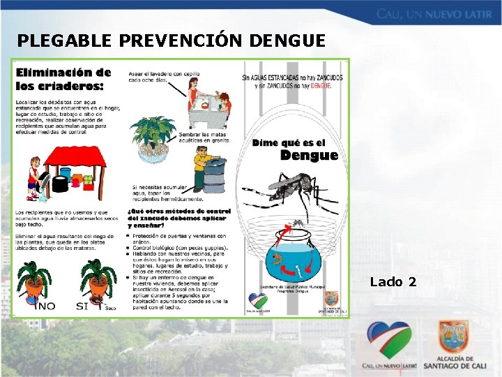 PLEGABLE PREVENCIÓN DENGUE Lado 2 