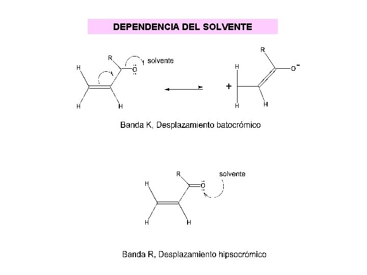 DEPENDENCIA DEL SOLVENTE DEPENDENCIA DEL SOLVENTE