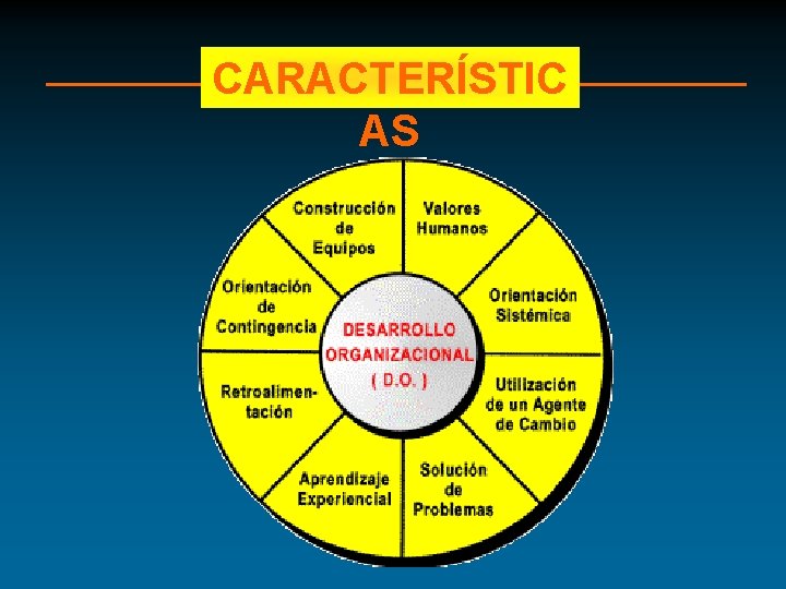 CARACTERÍSTIC AS 