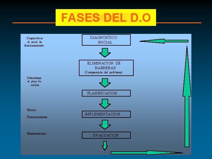 FASES DEL D. O 