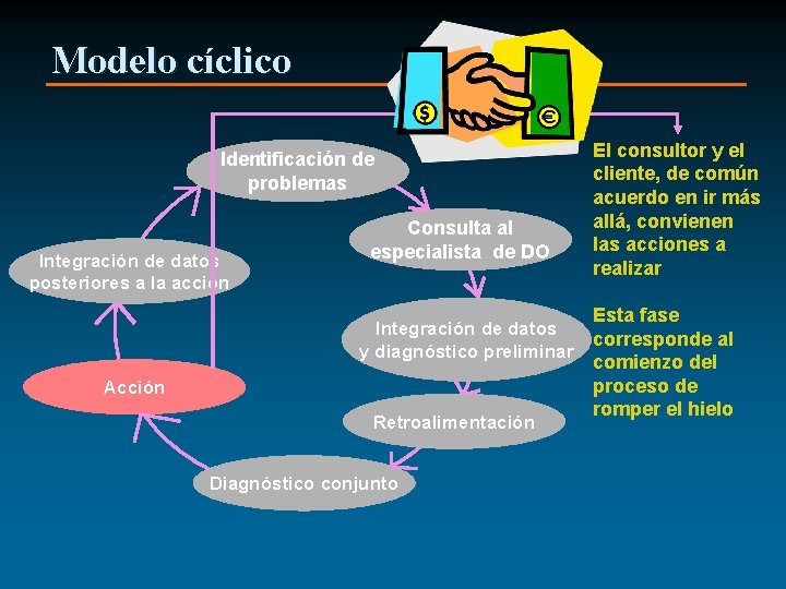 Modelo cíclico Identificación de problemas Integración de datos posteriores a la acción Consulta al