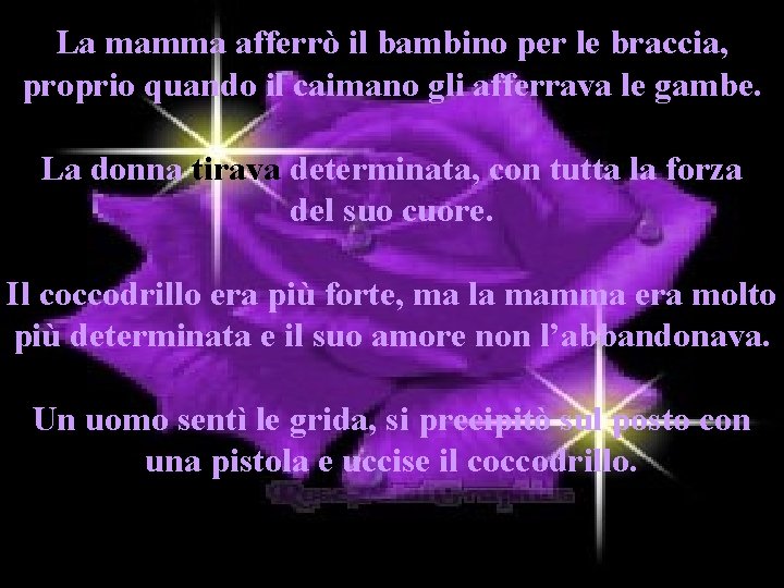 La mamma afferrò il bambino per le braccia, proprio quando il caimano gli afferrava