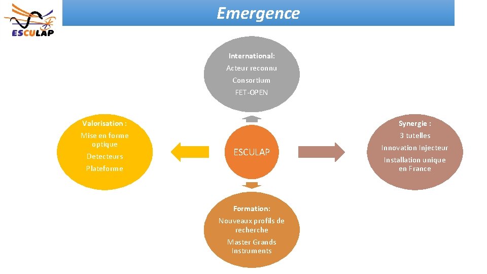Emergence International: Acteur reconnu Consortium FET-OPEN Valorisation : Mise en forme optique Detecteurs Plateforme