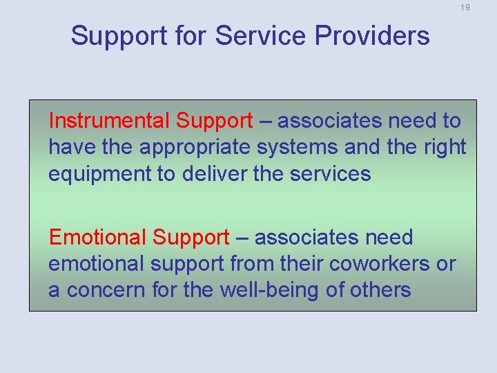 19 Support for Service Providers Instrumental Support – associates need to have the appropriate