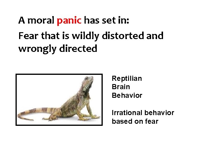 A moral panic has set in: Fear that is wildly distorted and wrongly directed