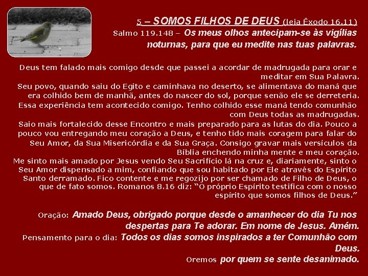 5 – SOMOS FILHOS DE DEUS (leia Êxodo 16. 11) Os meus olhos antecipam-se