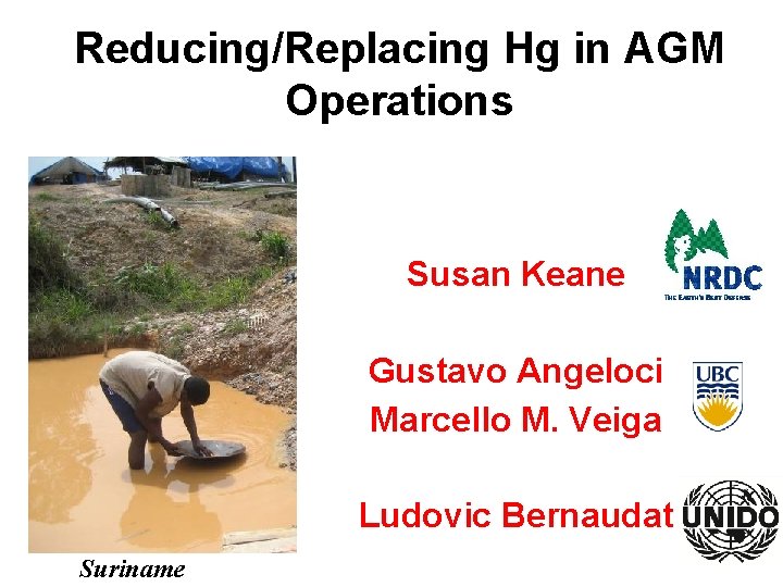 Reducing/Replacing Hg in AGM Operations Susan Keane Gustavo Angeloci Marcello M. Veiga Ludovic Bernaudat