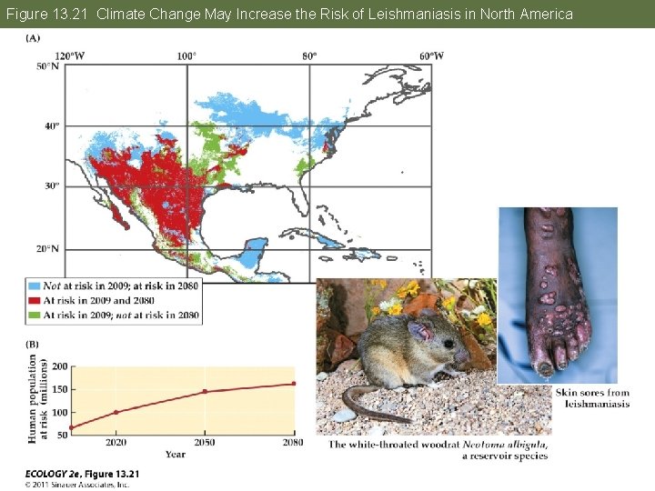 Figure 13. 21 Climate Change May Increase the Risk of Leishmaniasis in North America