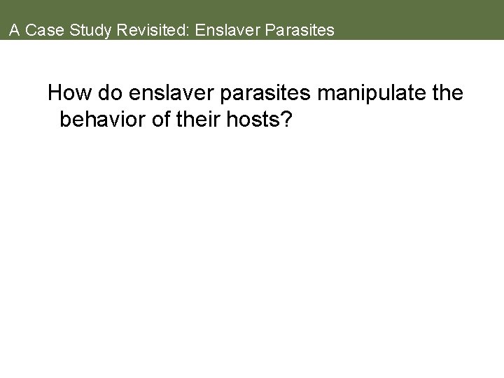 A Case Study Revisited: Enslaver Parasites How do enslaver parasites manipulate the behavior of