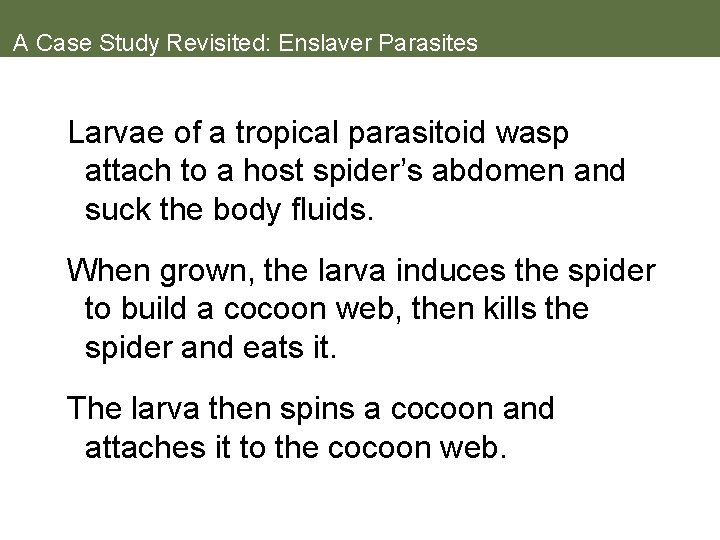 A Case Study Revisited: Enslaver Parasites Larvae of a tropical parasitoid wasp attach to