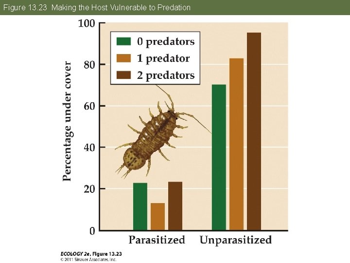 Figure 13. 23 Making the Host Vulnerable to Predation 