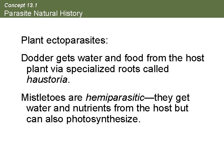 Concept 13. 1 Parasite Natural History Plant ectoparasites: Dodder gets water and food from