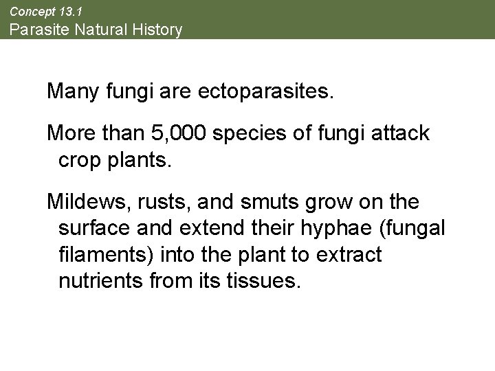 Concept 13. 1 Parasite Natural History Many fungi are ectoparasites. More than 5, 000