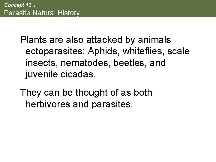 Concept 13. 1 Parasite Natural History Plants are also attacked by animals ectoparasites: Aphids,