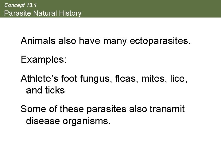 Concept 13. 1 Parasite Natural History Animals also have many ectoparasites. Examples: Athlete’s foot