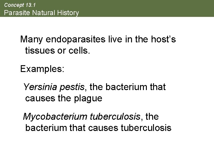 Concept 13. 1 Parasite Natural History Many endoparasites live in the host’s tissues or