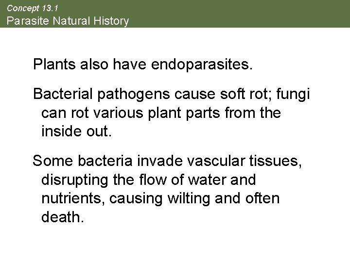 Concept 13. 1 Parasite Natural History Plants also have endoparasites. Bacterial pathogens cause soft