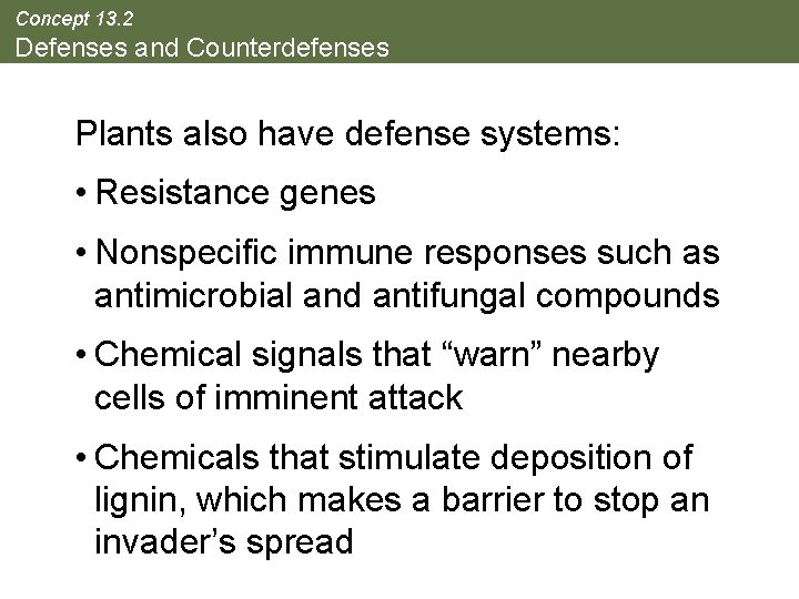 Concept 13. 2 Defenses and Counterdefenses Plants also have defense systems: • Resistance genes