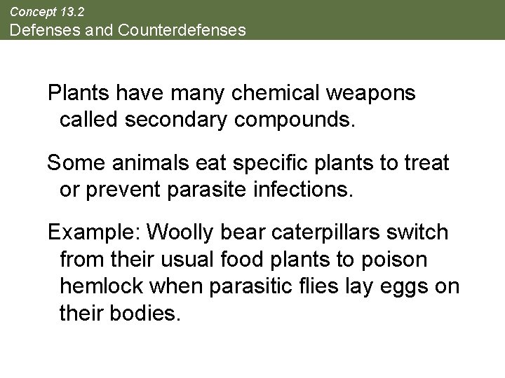 Concept 13. 2 Defenses and Counterdefenses Plants have many chemical weapons called secondary compounds.