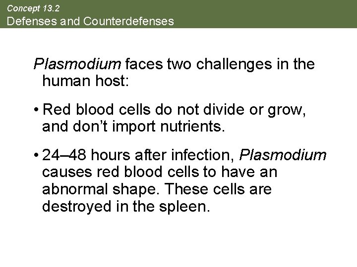 Concept 13. 2 Defenses and Counterdefenses Plasmodium faces two challenges in the human host: