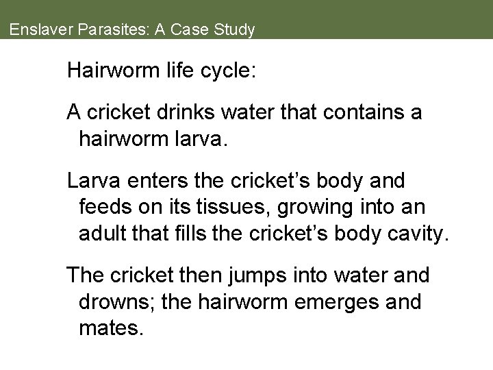 Enslaver Parasites: A Case Study Hairworm life cycle: A cricket drinks water that contains