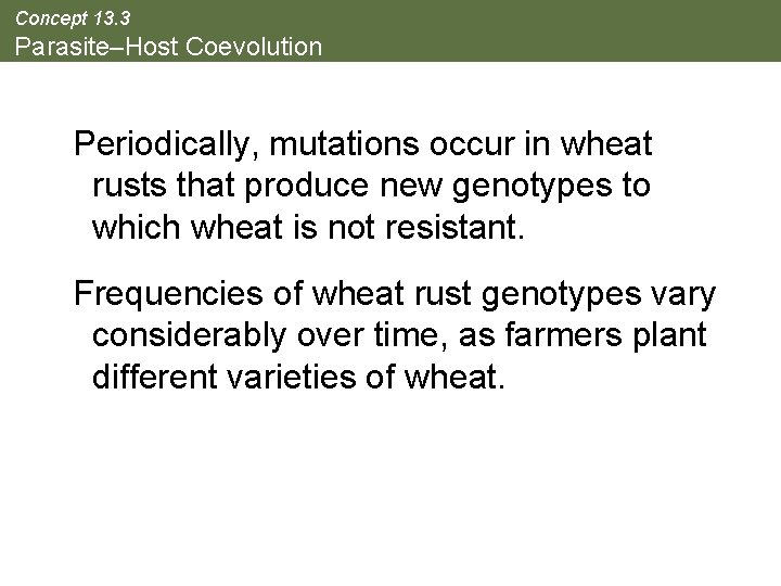 Concept 13. 3 Parasite–Host Coevolution Periodically, mutations occur in wheat rusts that produce new