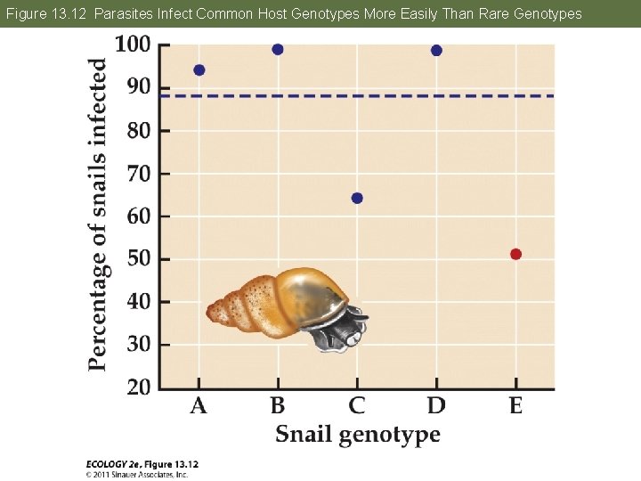 Figure 13. 12 Parasites Infect Common Host Genotypes More Easily Than Rare Genotypes 