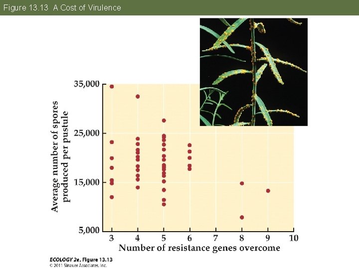 Figure 13. 13 A Cost of Virulence 