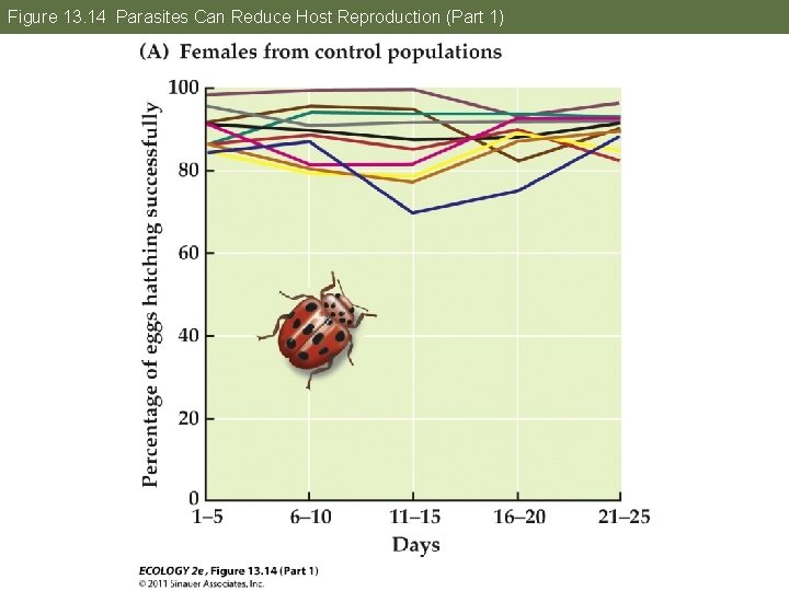 Figure 13. 14 Parasites Can Reduce Host Reproduction (Part 1) 