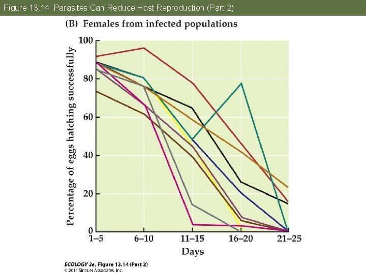 Figure 13. 14 Parasites Can Reduce Host Reproduction (Part 2) 