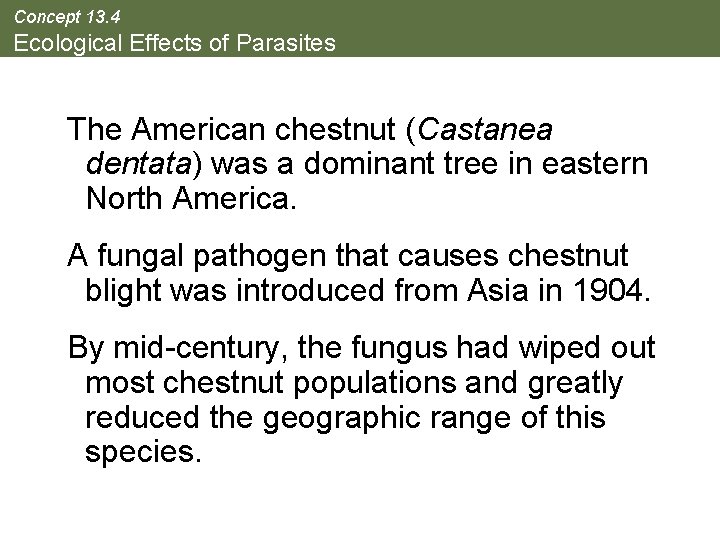 Concept 13. 4 Ecological Effects of Parasites The American chestnut (Castanea dentata) was a