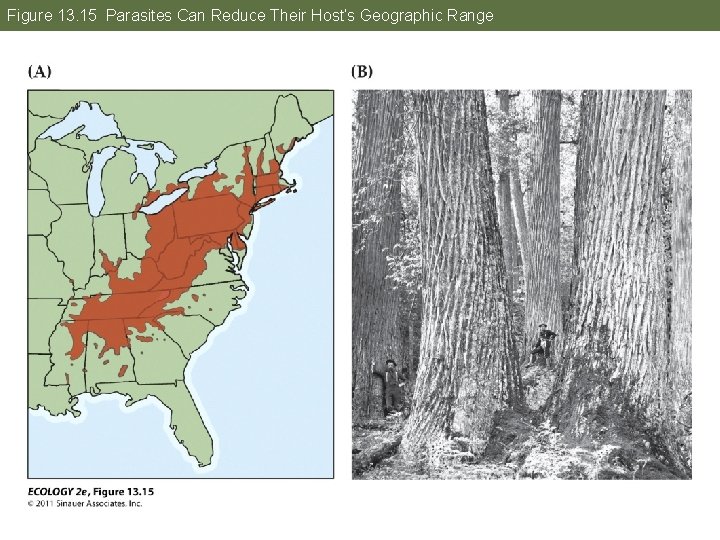 Figure 13. 15 Parasites Can Reduce Their Host’s Geographic Range 