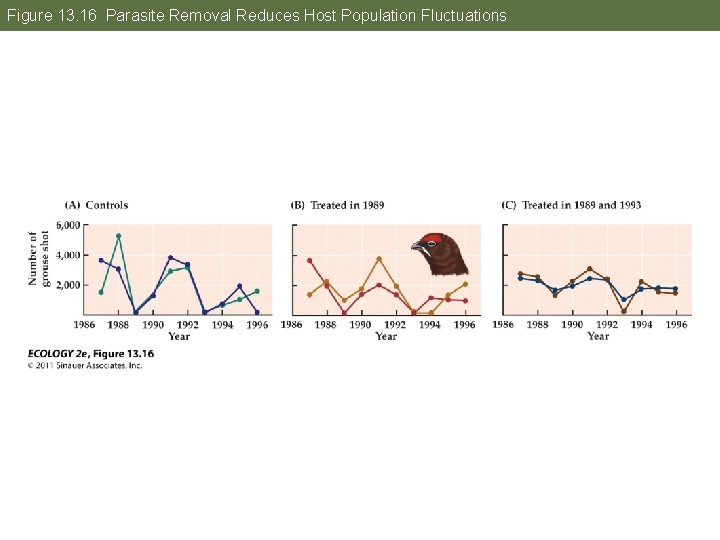 Figure 13. 16 Parasite Removal Reduces Host Population Fluctuations 