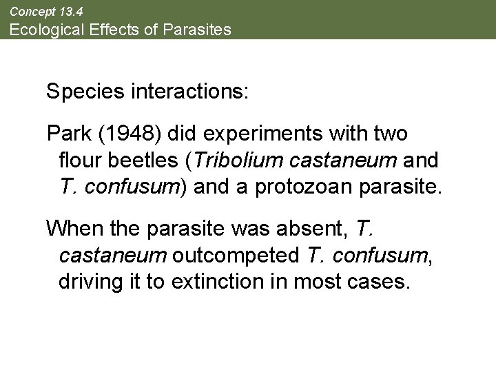 Concept 13. 4 Ecological Effects of Parasites Species interactions: Park (1948) did experiments with