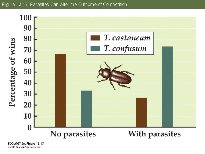 Figure 13. 17 Parasites Can Alter the Outcome of Competition 