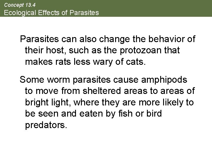 Concept 13. 4 Ecological Effects of Parasites can also change the behavior of their