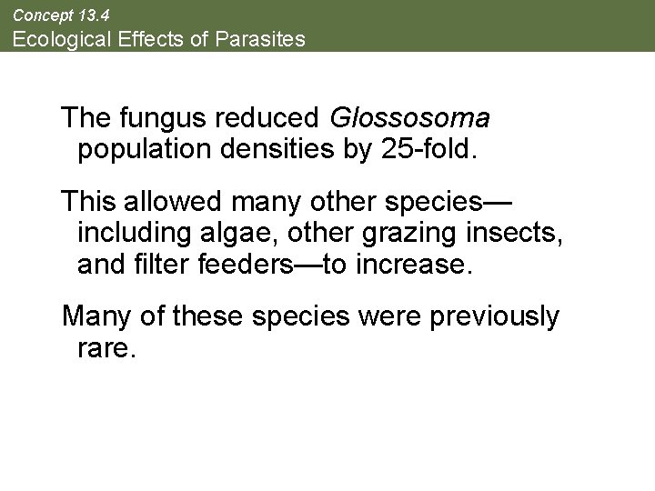 Concept 13. 4 Ecological Effects of Parasites The fungus reduced Glossosoma population densities by