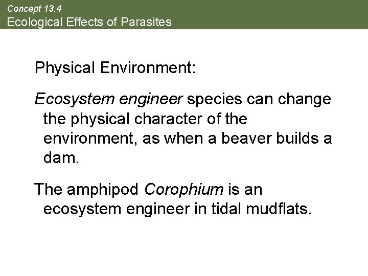 Concept 13. 4 Ecological Effects of Parasites Physical Environment: Ecosystem engineer species can change