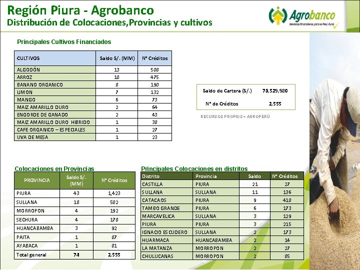 Región Piura - Agrobanco Distribución de Colocaciones, Provincias y cultivos Principales Cultivos Financiados CULTIVOS