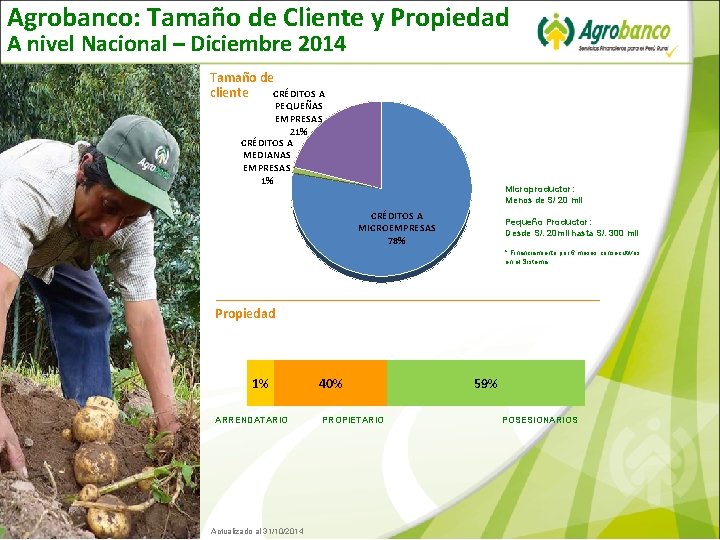 Agrobanco: Tamaño de Cliente y Propiedad A nivel Nacional – Diciembre 2014 Tamaño de