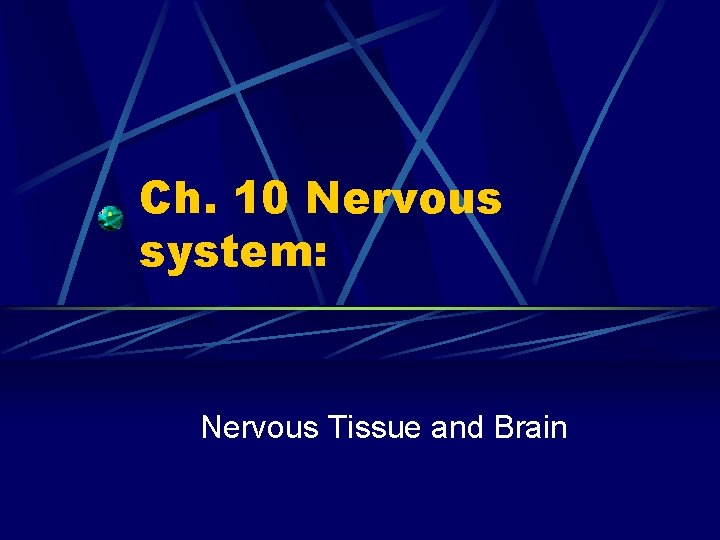 Ch. 10 Nervous system: Nervous Tissue and Brain 