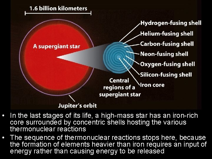  • In the last stages of its life, a high-mass star has an