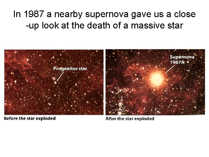 In 1987 a nearby supernova gave us a close -up look at the death