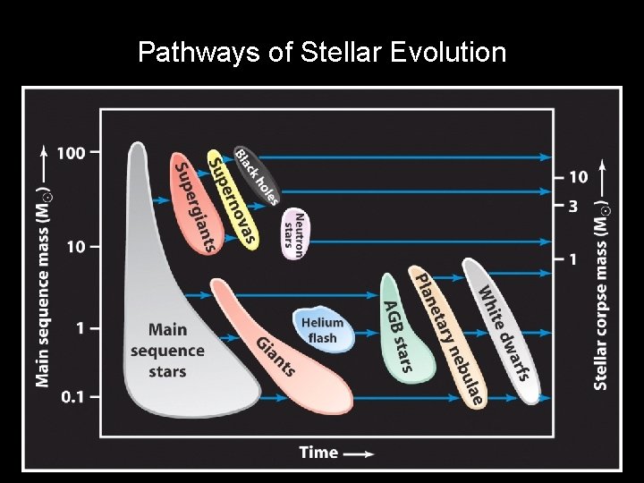 Pathways of Stellar Evolution 